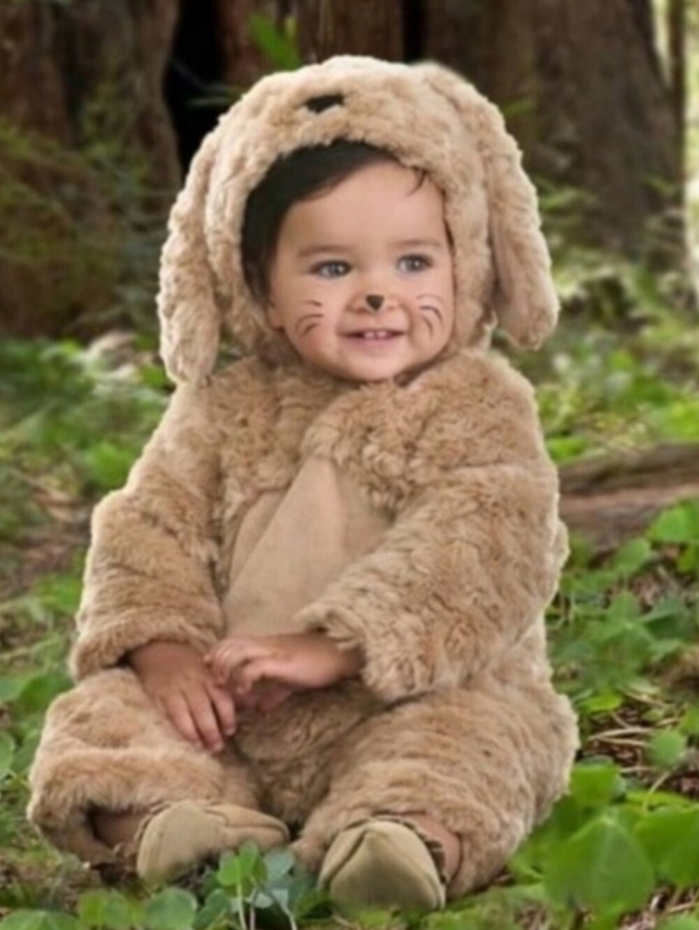 Pottery Barn Kids Baby Dog Costume Size 0-6 months NWT